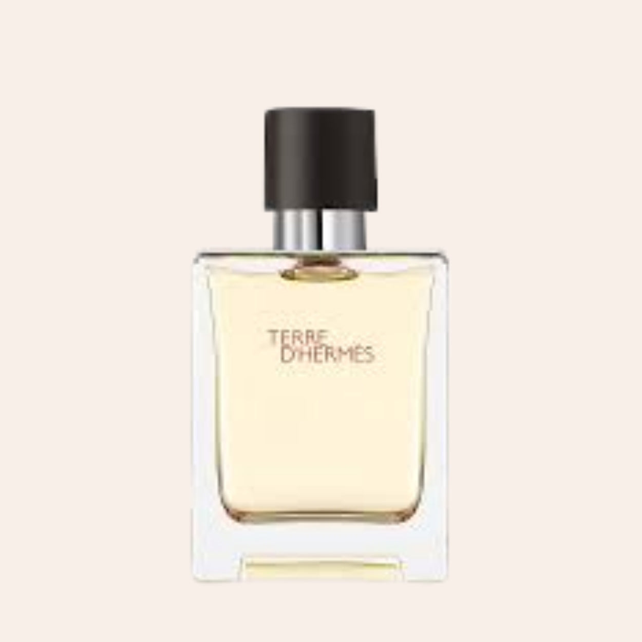 Hermès Terre d'Hermès 100 ml
