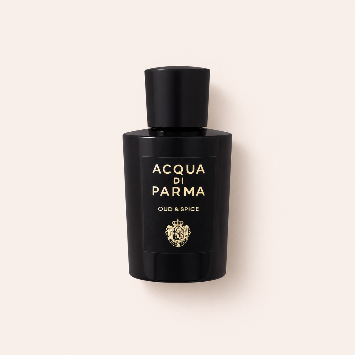 Acqua di Parma Signatures Of The Sun Oud & Spice 100 ml – MrRizz