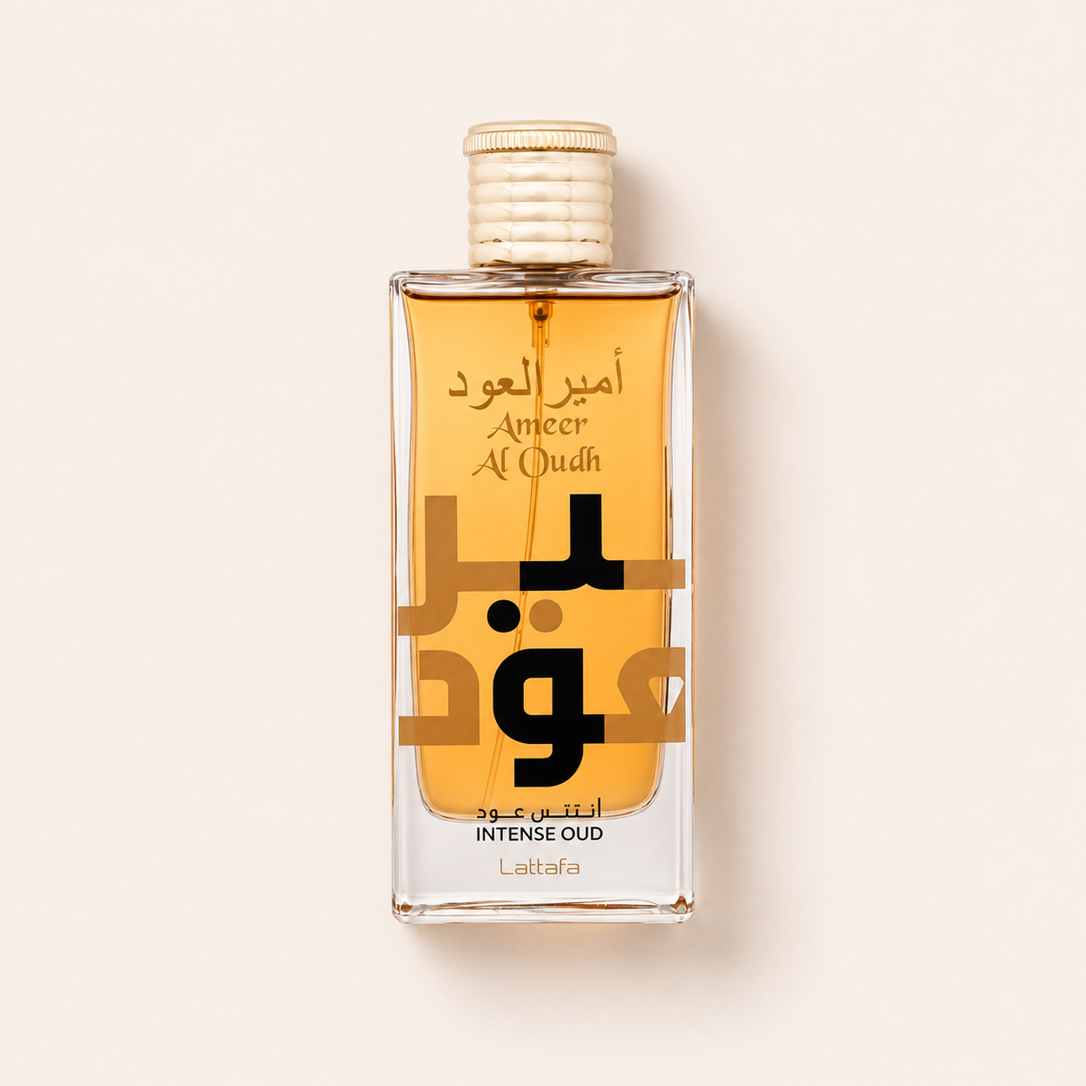 Lattafa Ameer Al Oudh Intense Oud 100 ml – MrRizz