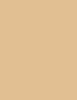 Artdeco Rich Treatment 20 ml - 20ml - Makeup