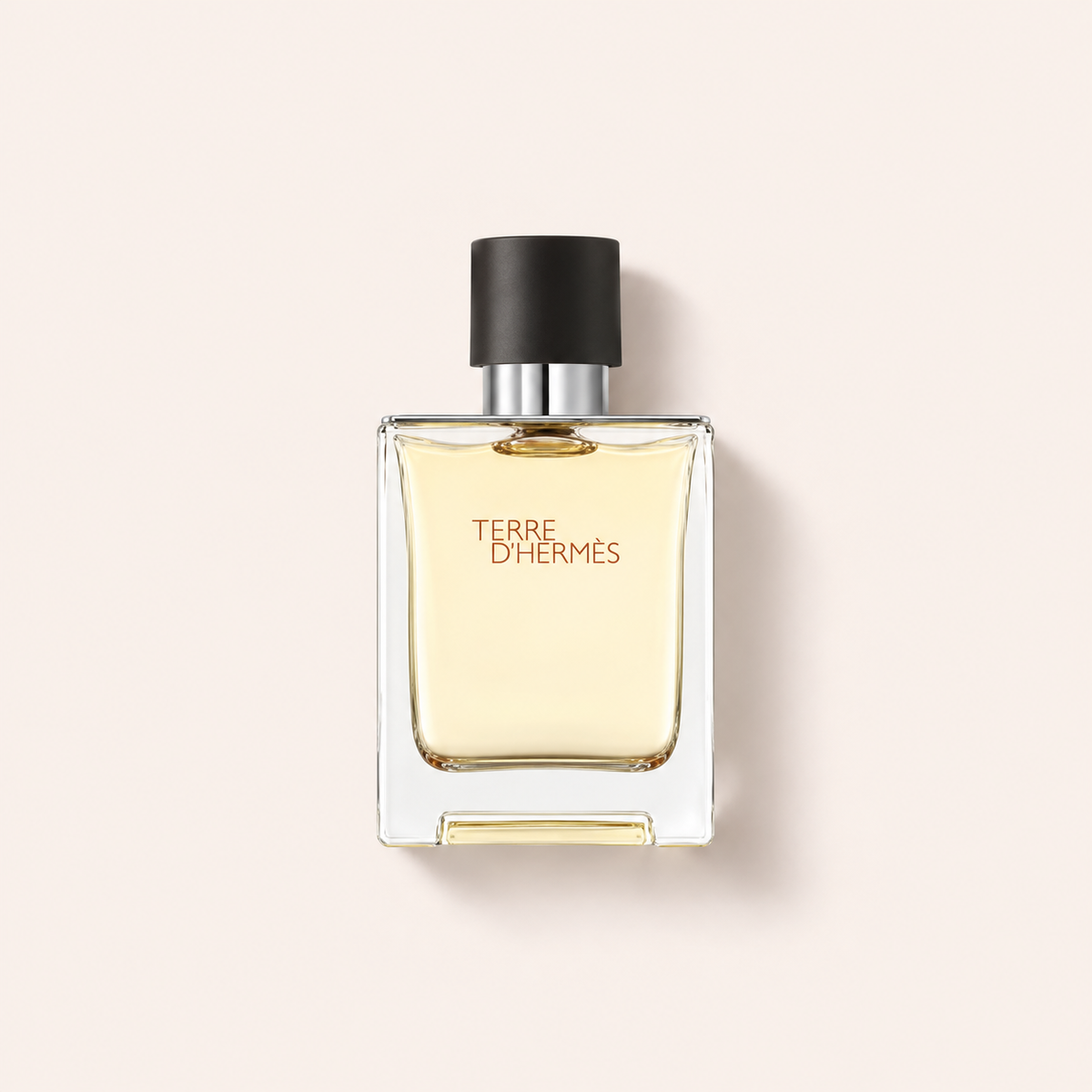Hermes Terre d'Hermes 100 ml – toaletní voda – MrRizz