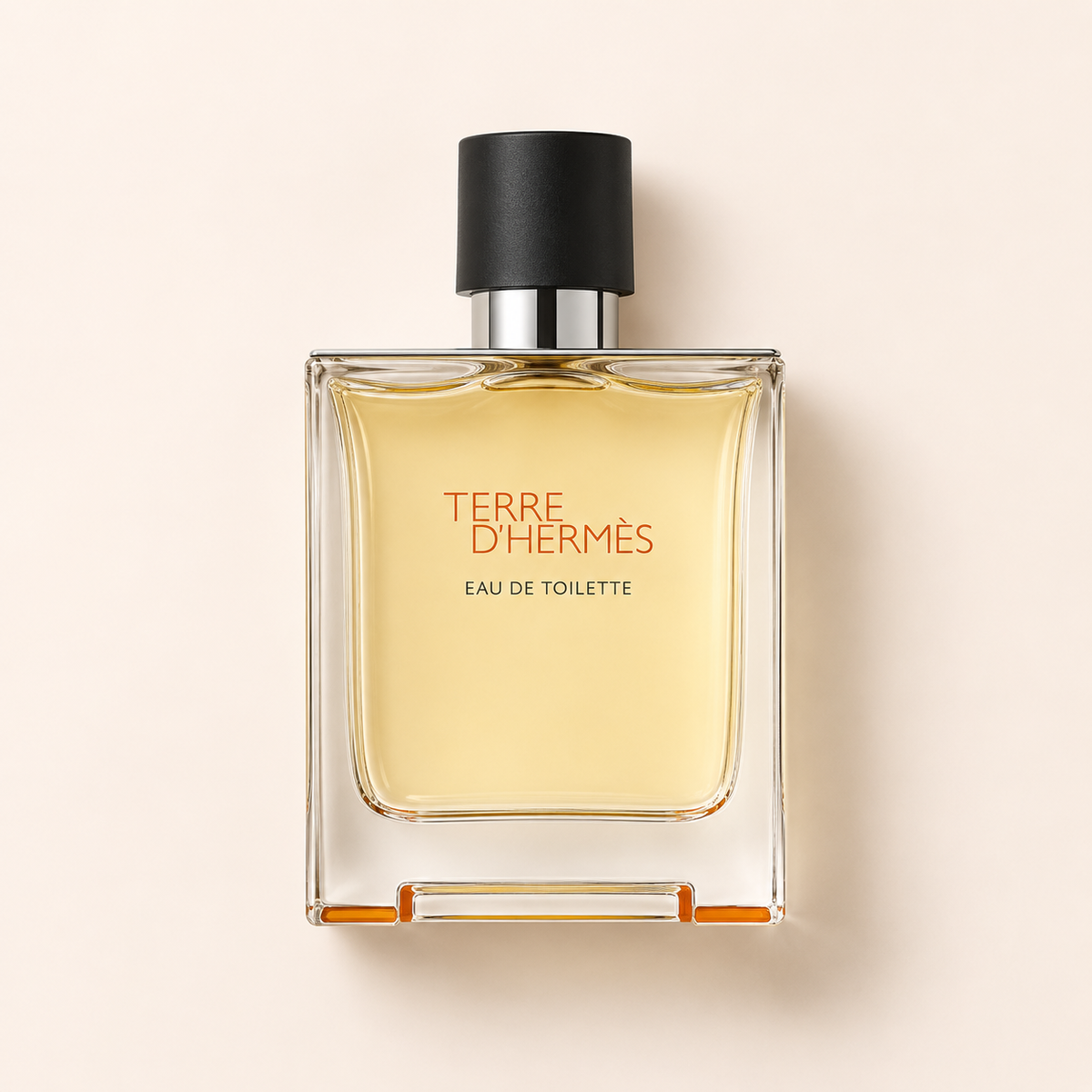 Hermès Terre d’Hermès 100 ml – MrRizz