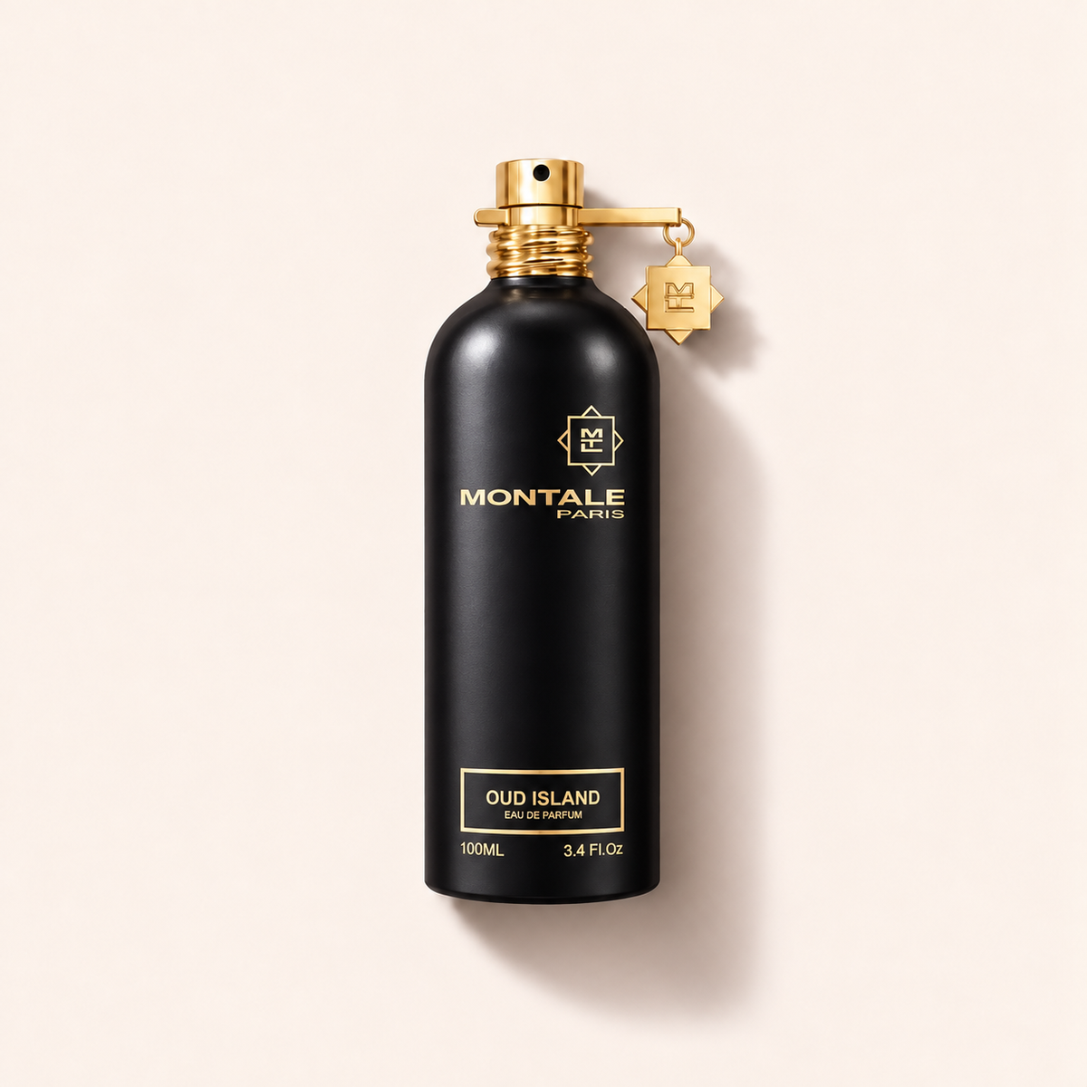 Montale Oud Island parfémovaná voda 100 ml – MrRizz
