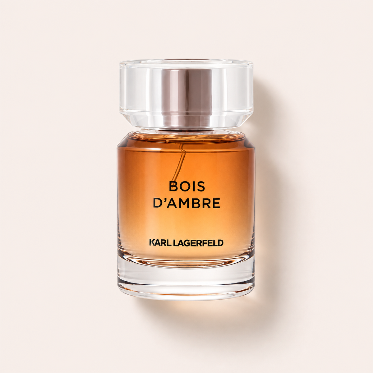 Karl Lagerfeld Les Parfums Matieres Bois d'Ambre 50 ml – MrRizz