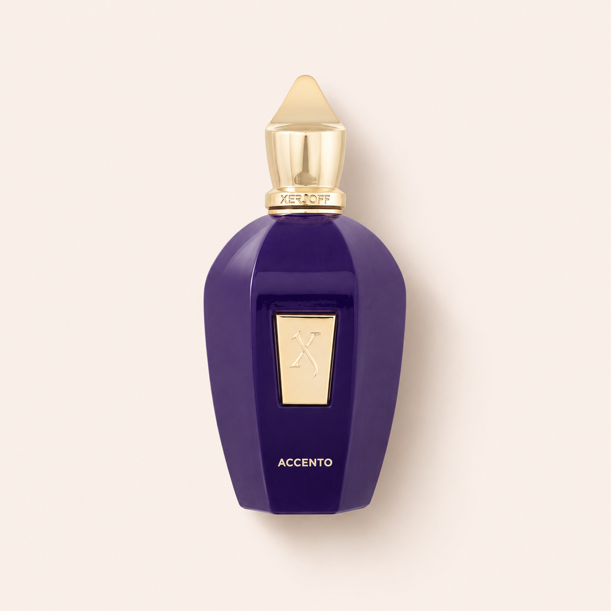 Xerjoff V Collection Accento 100 ml – MrRizz