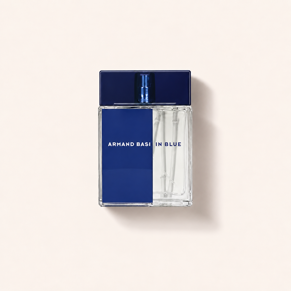 Armand Basi In Blue 100 ml – produktová fotografie