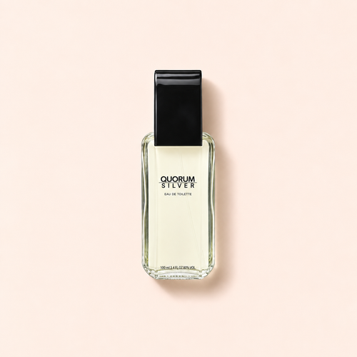 Antonio Puig Quorum Silver EDT 100 ml – MrRizz