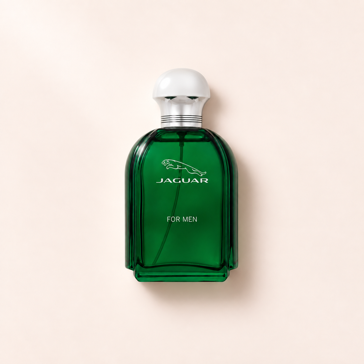 Jaguar Jaguar 100 ml – MrRizz