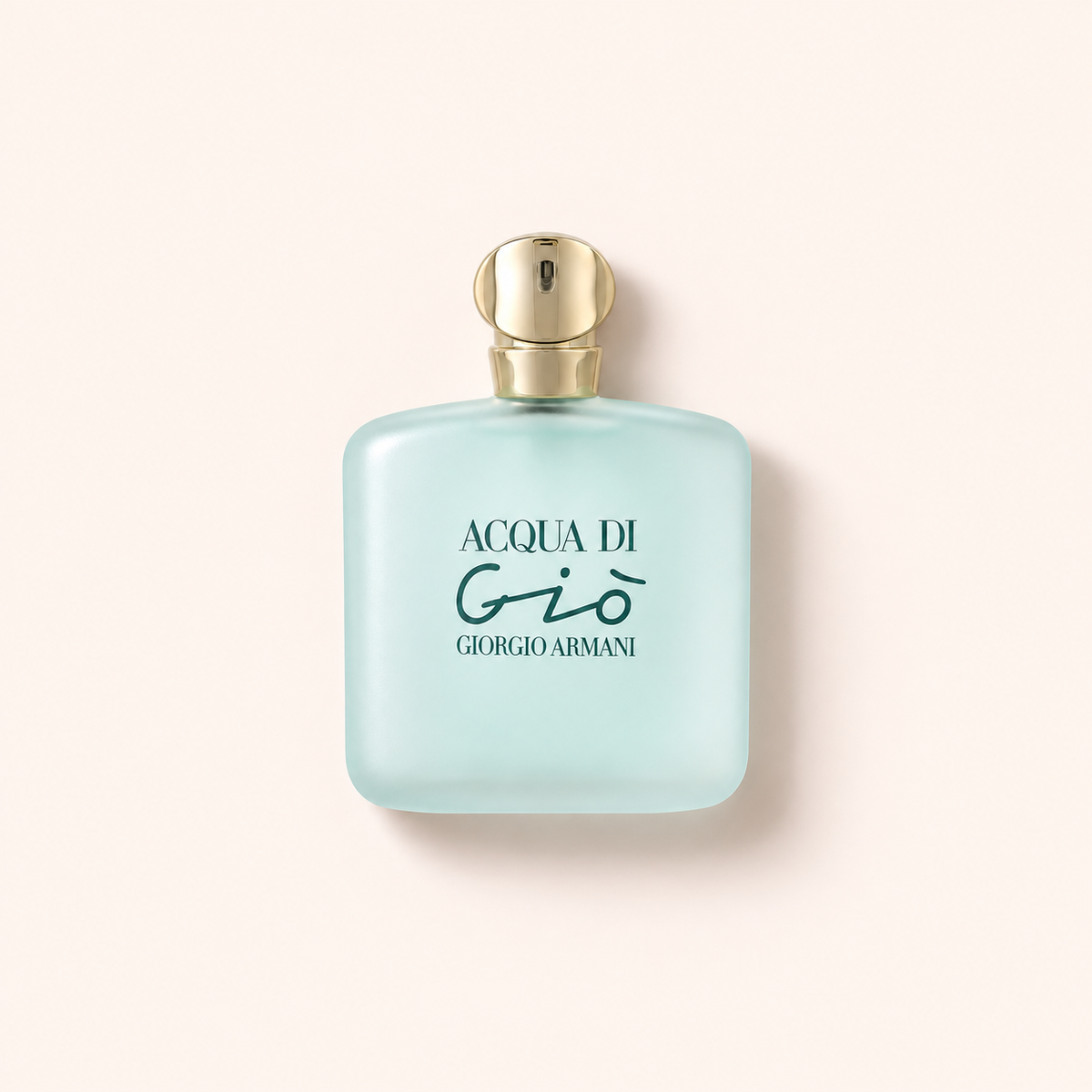 Giorgio Armani Acqua di Gio 100 ml – MrRizz
