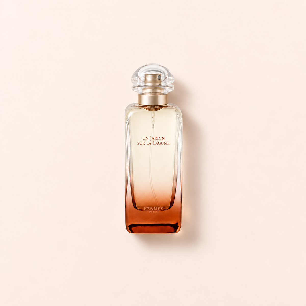 Hermes Un Jardin Sur La Lagune 100 ml, titulní fotografie – MrRizz