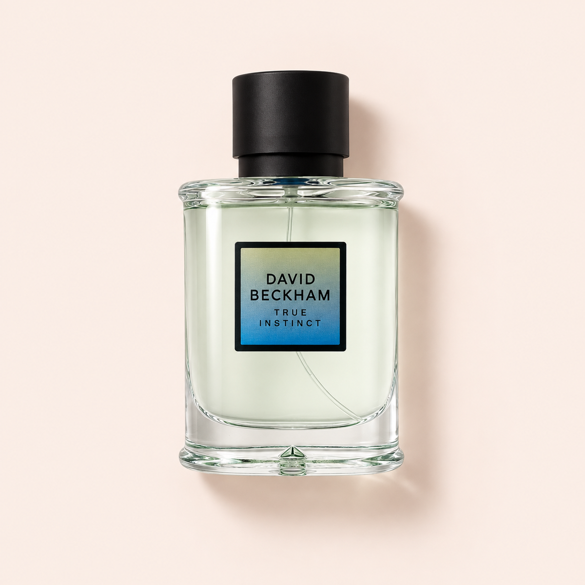 David Beckham True Instinct 75 ml – MrRizz