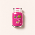 Yankee Candle Signature Art in the Park 567 ml – MrRizz