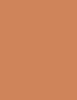 NYX Professional Makeup Bare With Me Blur Tint Foundation 30 ml - 30ml