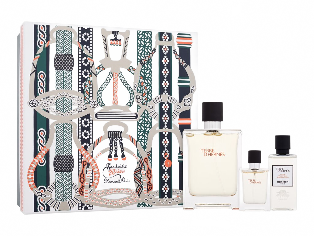 Hermes Terre d’Hermes 100 ml - 100ml - Toaletní voda