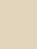 Inebrya Bionic Color 100 ml