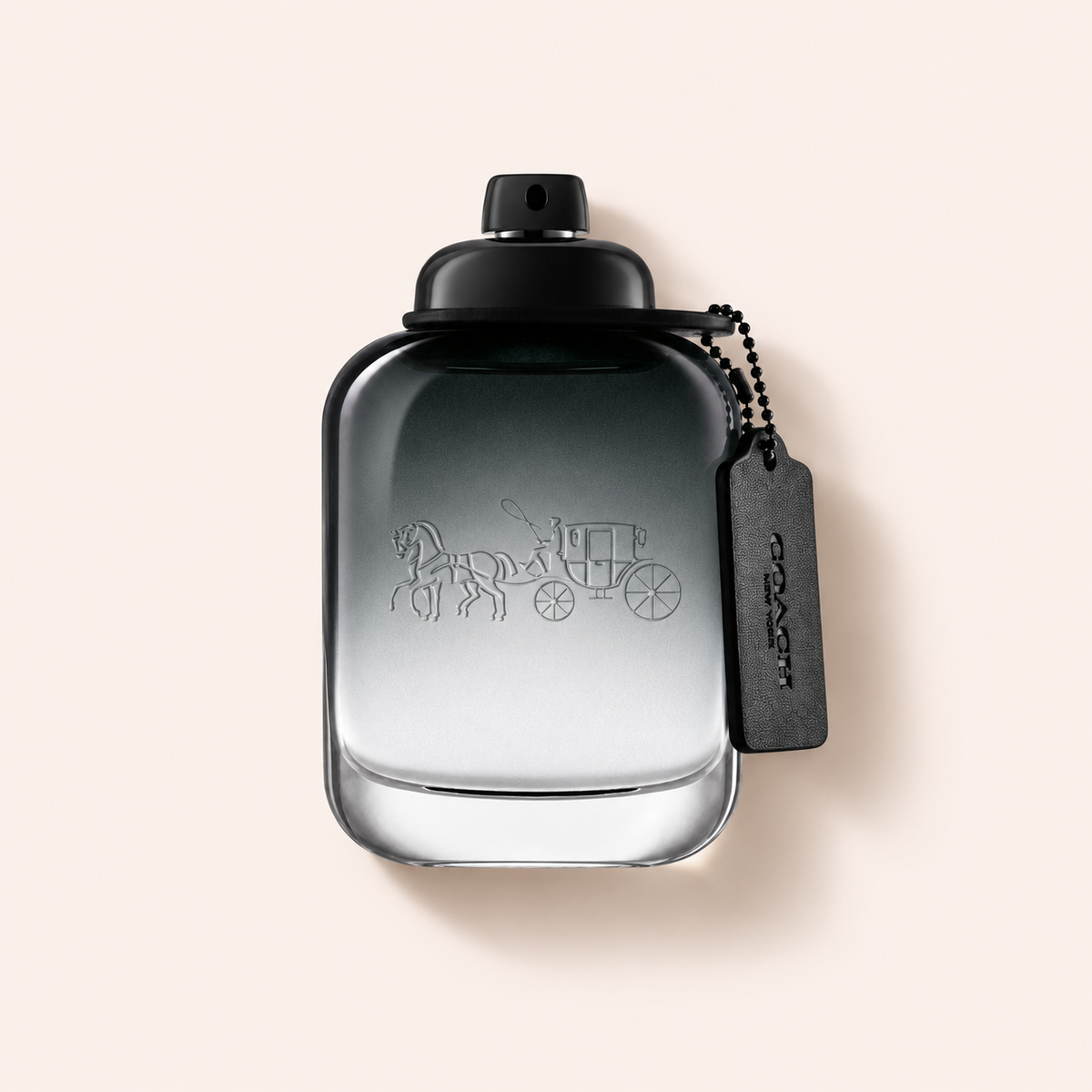 Coach for Men EDT 100 ml – MrRizz
