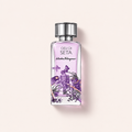 Ferragamo Cieli di Seta EDP 100 ml – MrRizz