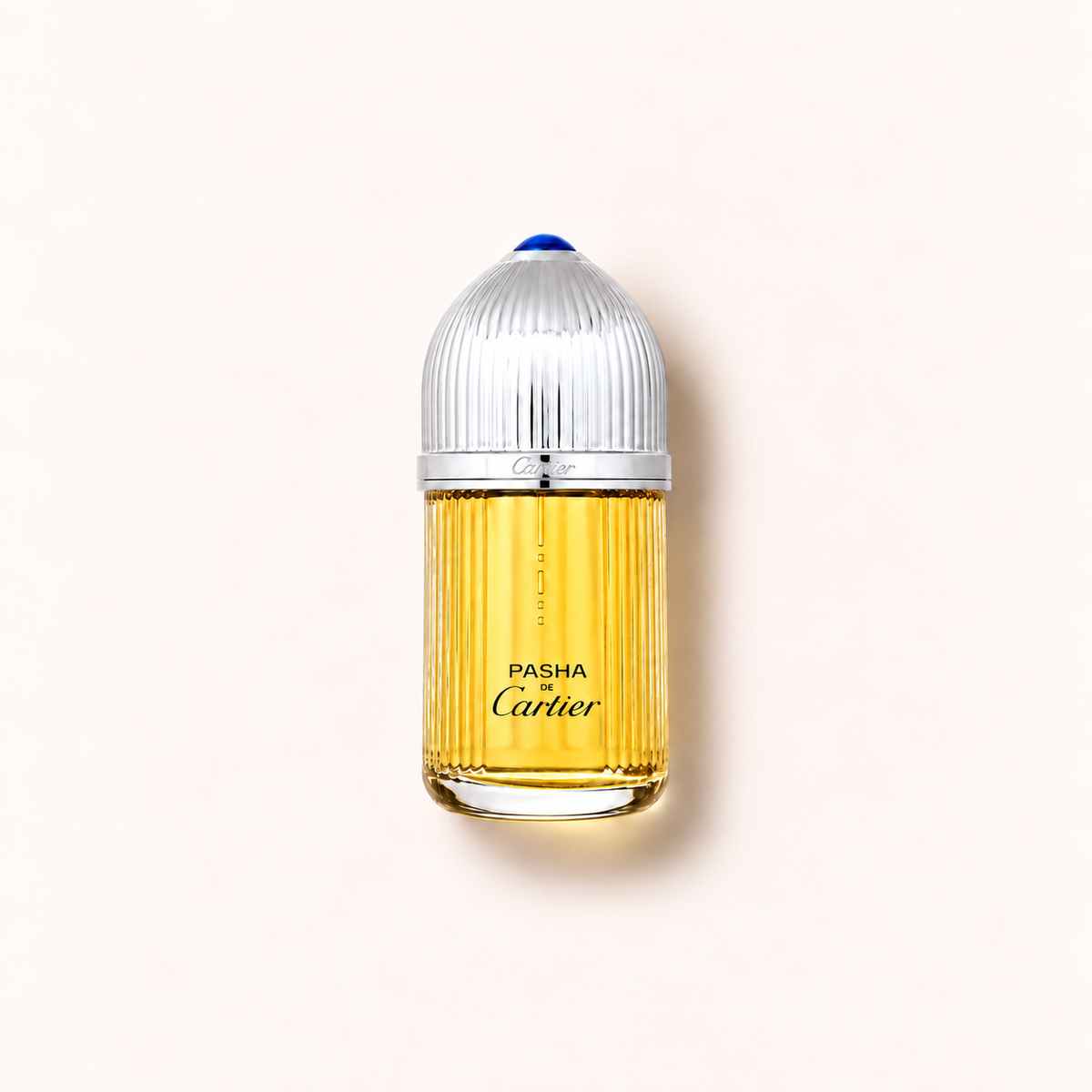 Cartier Pasha De Cartier 100 ml – MrRizz