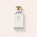 Versace Dreamer 100 ml – MrRizz