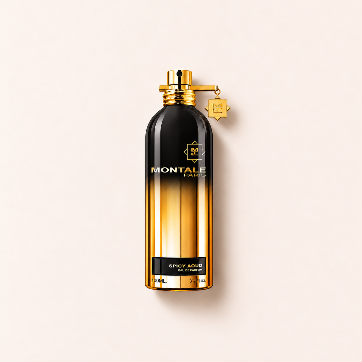 Montale Spicy Aoud parfémovaná voda 100 ml – MrRizz