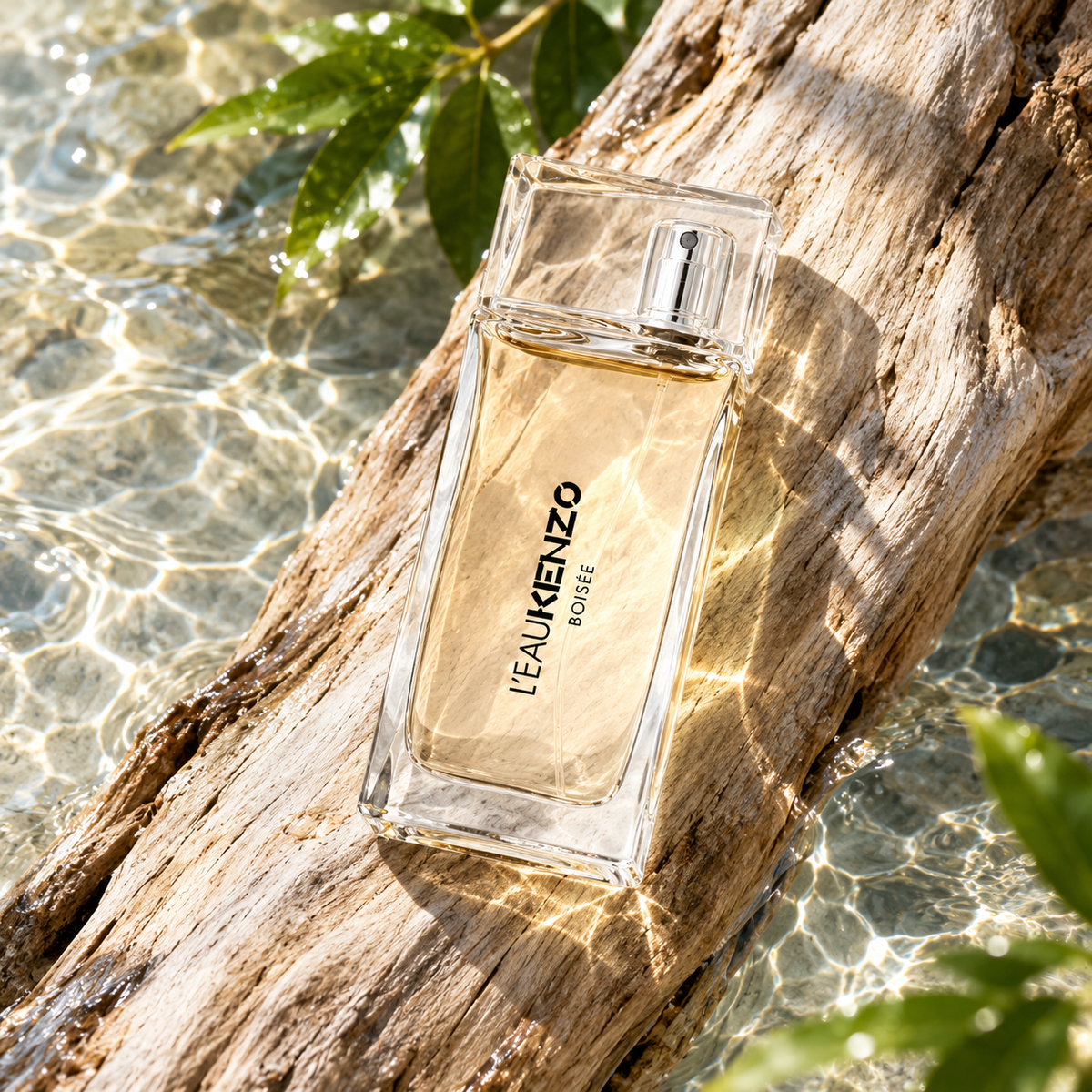 KENZO L'Eau Kenzo Boisée 50 ml – doprovodná scéna | MrRizz.cz