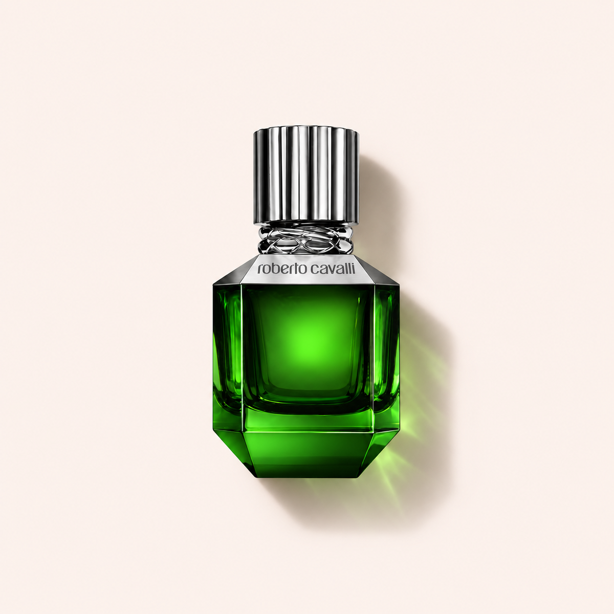 Roberto Cavalli Paradise Found Men EDT 50 ml – MrRizz