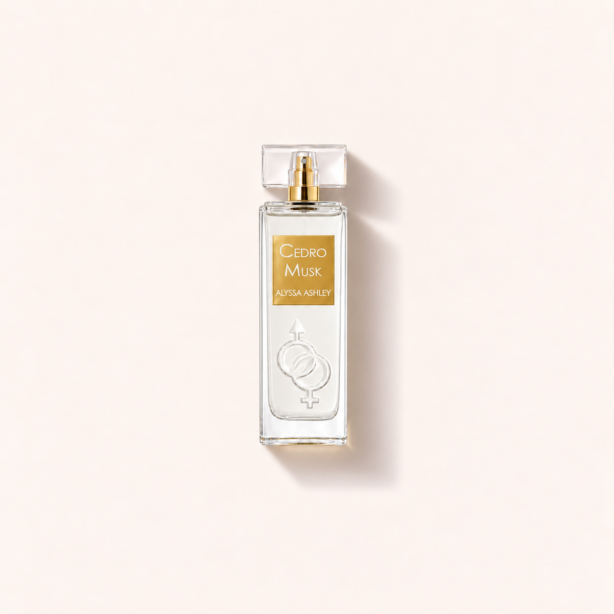 Alyssa Ashley Cedro Musk 100 ml – MrRizz
