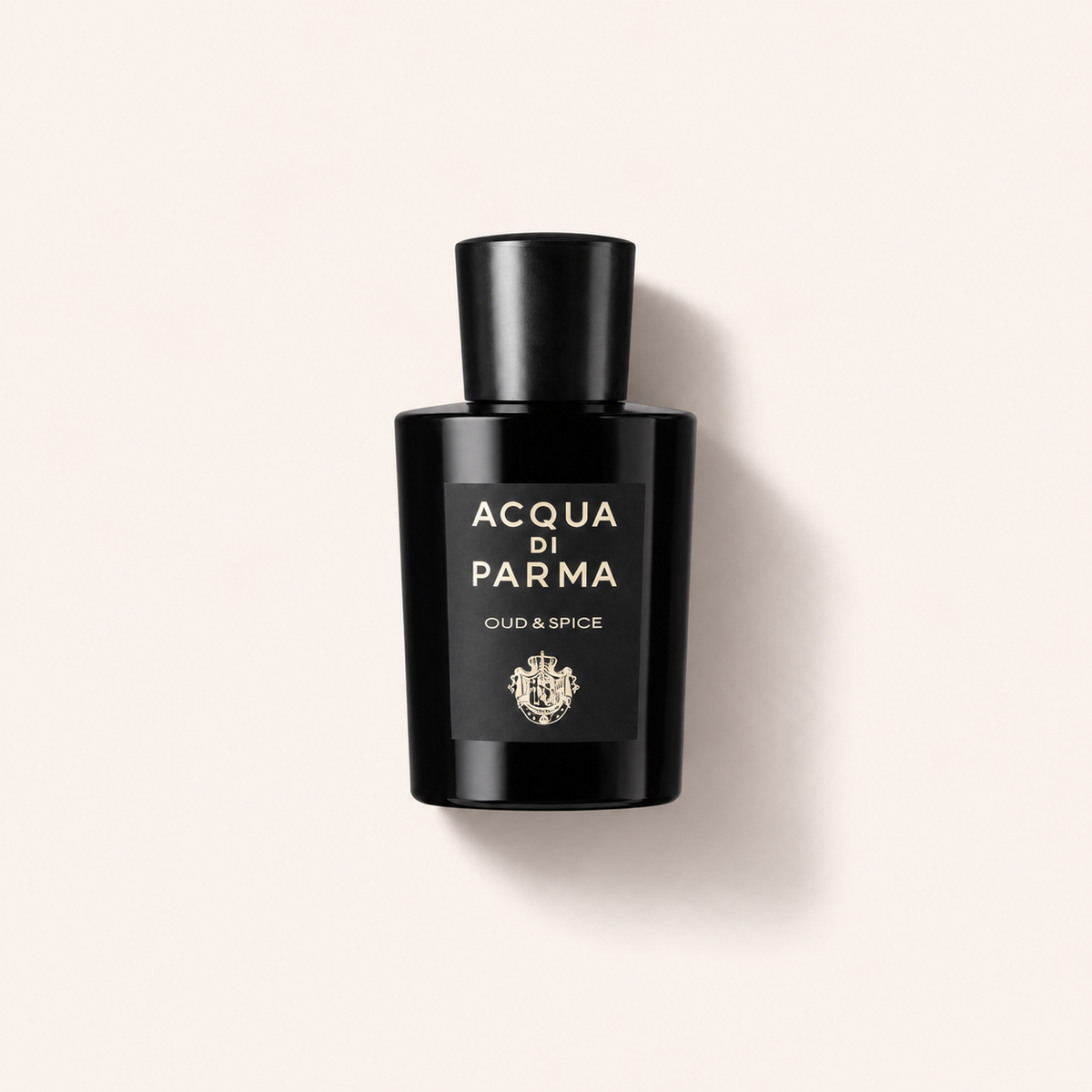 Acqua di Parma Signatures Of The Sun Oud & Spice 20 ml – MrRizz