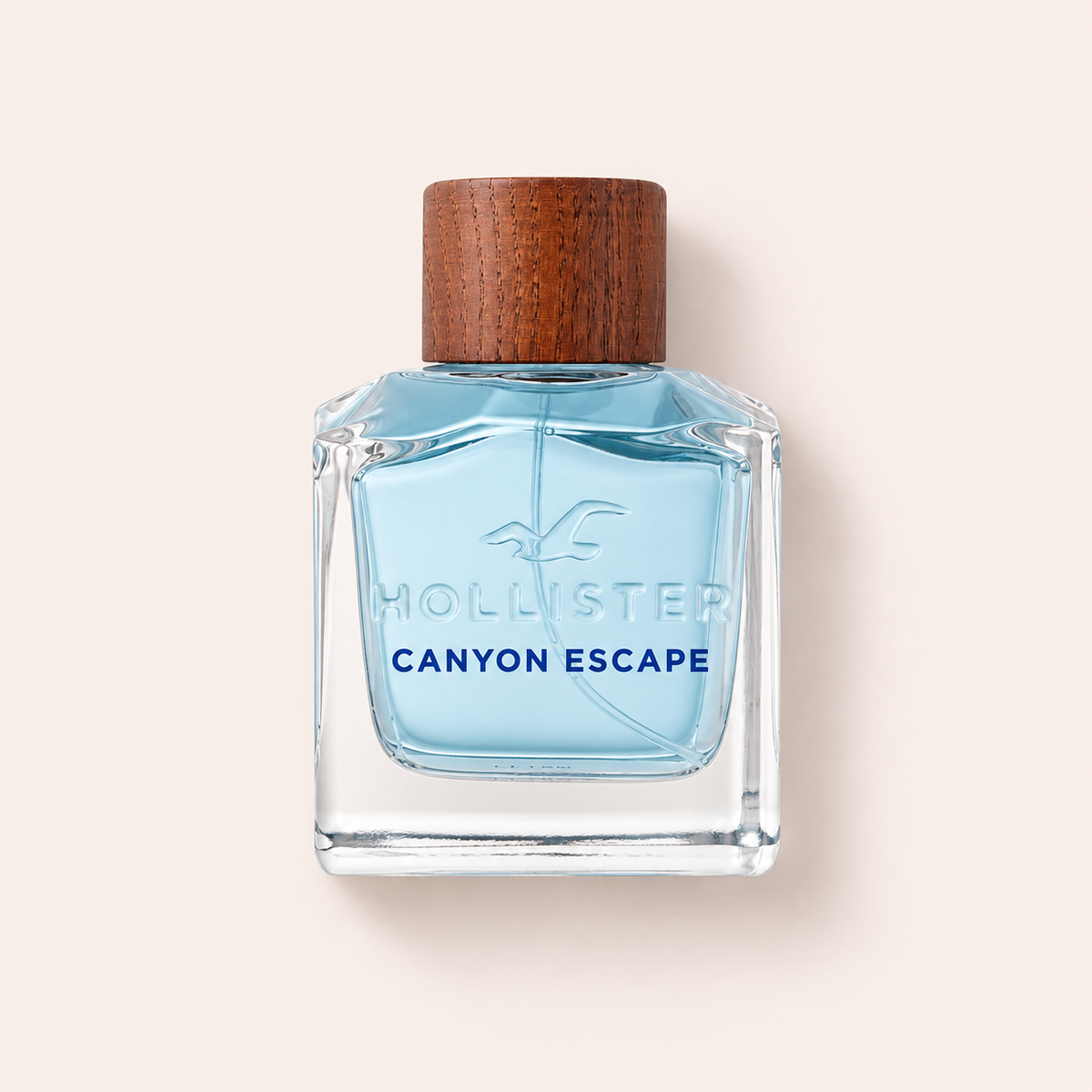 Hollister Canyon Escape EDT 100 ml – MrRizz